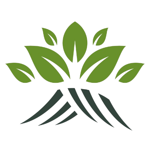 MS Certification logo